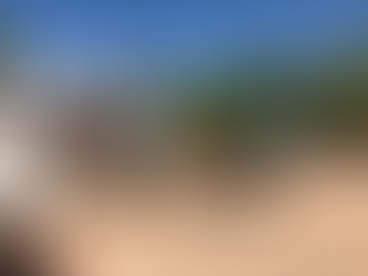 Horse Tack Terminology That Is Helpful to Know...