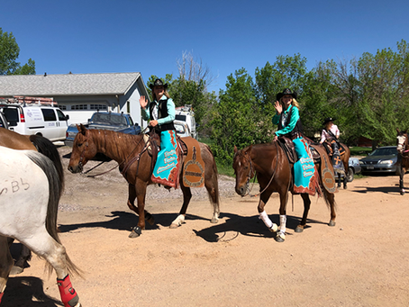 Horse Tack Terminology That Is Helpful to Know...