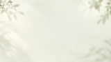 Luftiger botanischer Schattenhintergrund.png