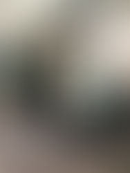 Project Reveal: TCU Administration