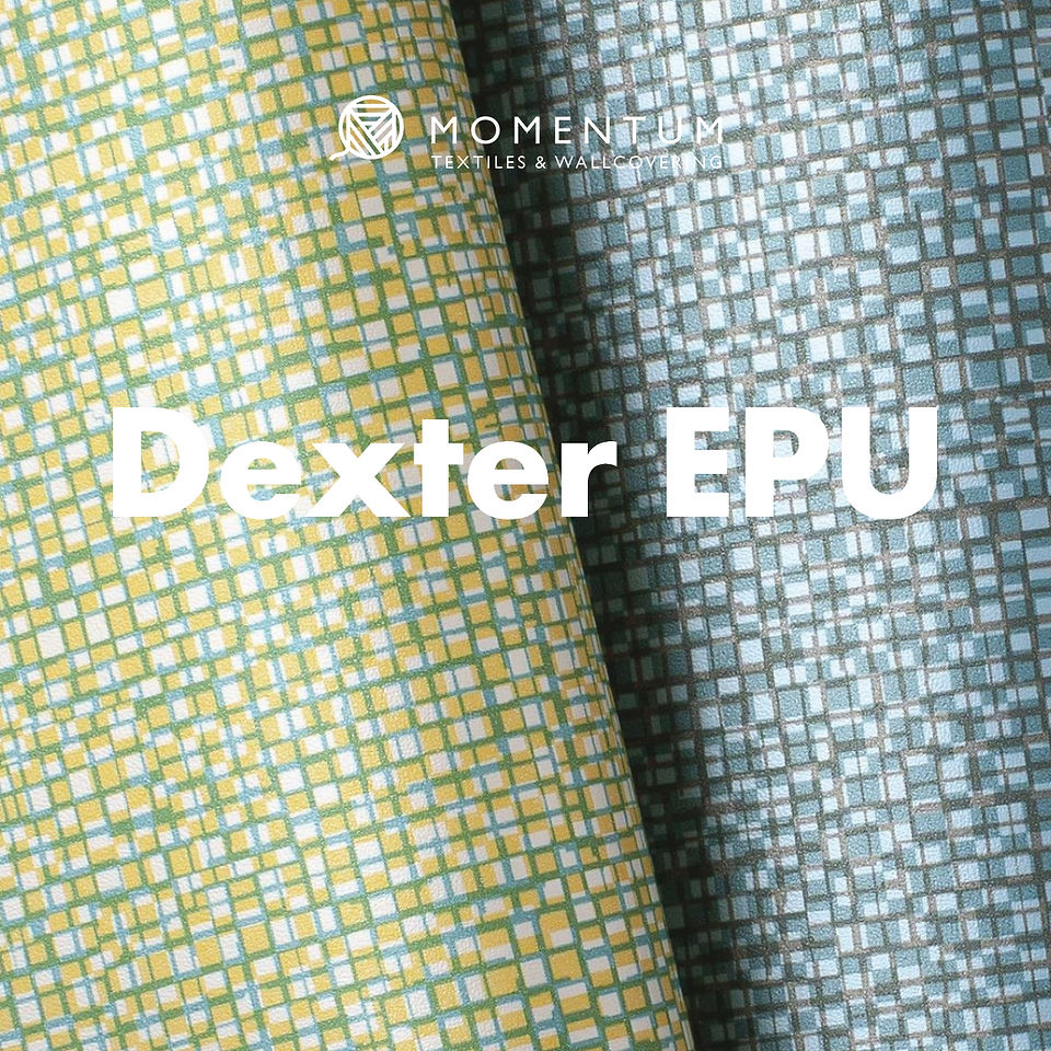 Momentum Dexter EPU