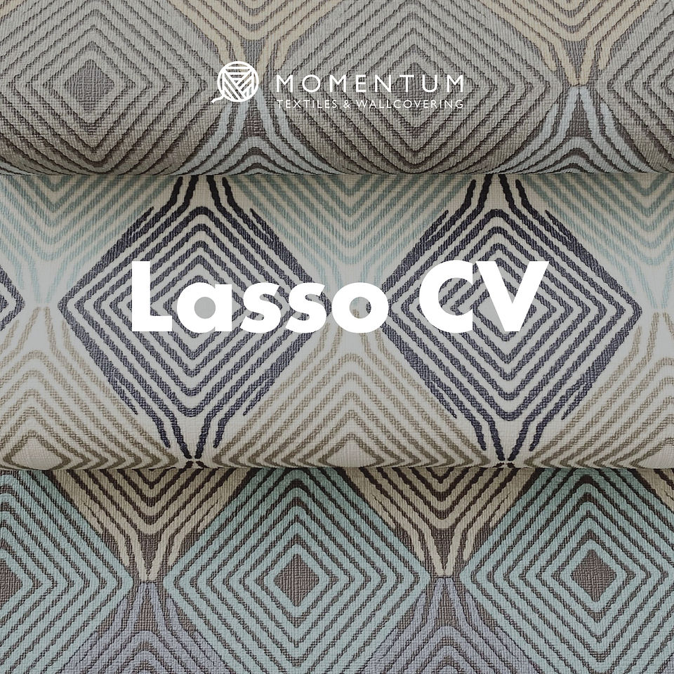 Momentum Lasso