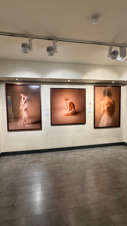 Serkan Mumcuoğlu'nun In Visible sergisinden eserlerinin fotoğrafı