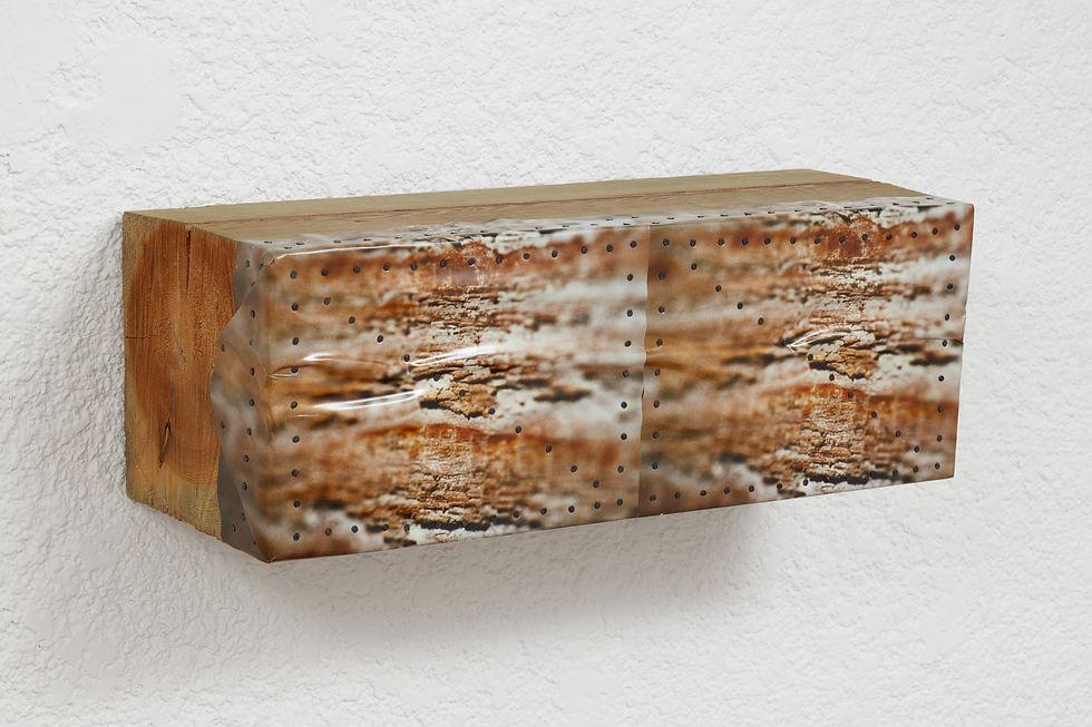 Canadian Softwood, 1986