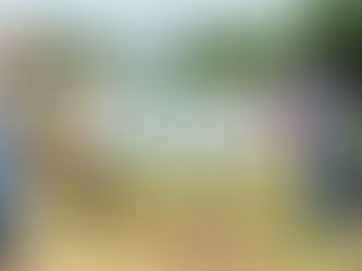 我家有塊地，就能申請「造林碳權」嗎？土地資格評估3大關鍵