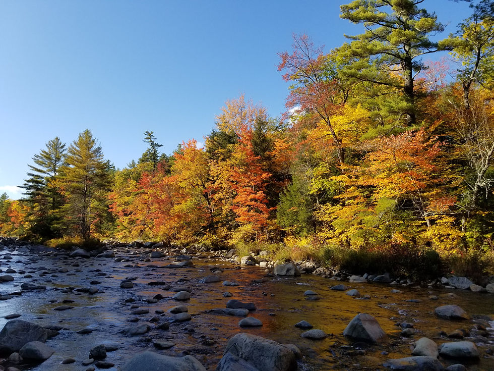 Swift River