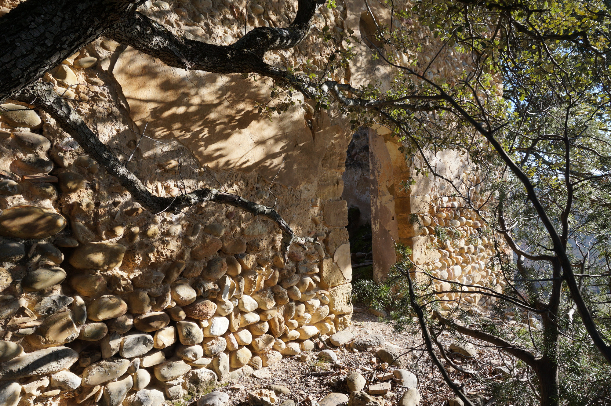 Phénomènes étranges à Valensole