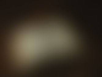 The Forever Evolving History of the Vampyre Community