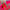 IMG_1489 (1).jpeg