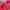 IMG_1489.jpeg