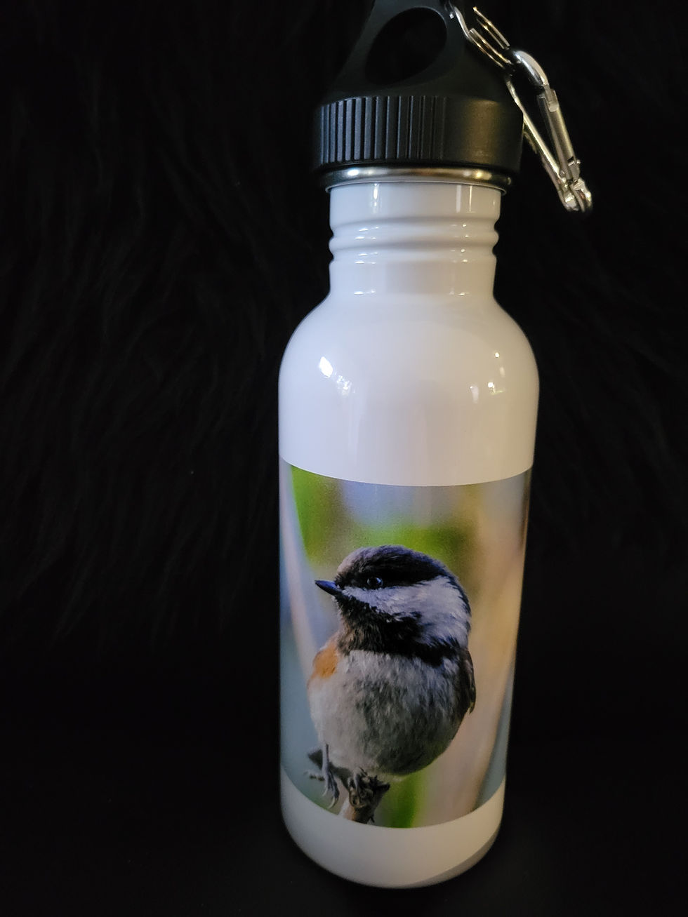 Chickadee on Stainless Steel Water Bottle