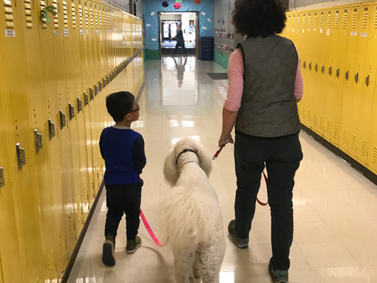 Therapy dog Tula walking down school hallway with handler and student.