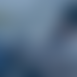 What to Do After a Car Accident in Florida (Step-by-Step Guide)