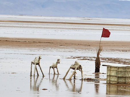 CHOTT EL DJERID: Lago Salado y Espejismos entre Douz y Tozeur 