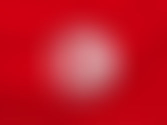 TUNEZ: INFORMACION SOBRE EL PAIS