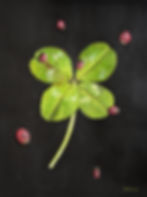 peinture acrylique d'un trèfle à quatre feuilles porte bonheur et coccinelles