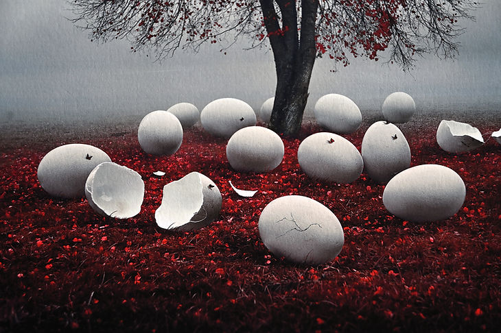 Photographie surréaliste avec oeufs et papillons