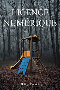 Jeu enfant brouillard_photographie pour licences, cover book thriller, sombre, mystère par bettina dupont