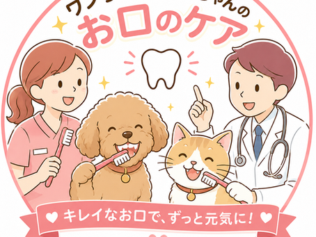 お口のケアで健康長寿!