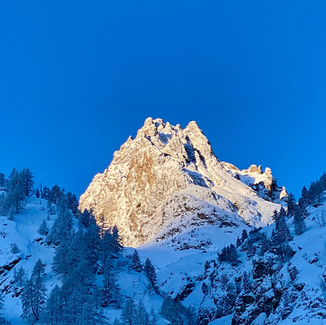 6B18951F-43E4-4A4D-8F0F-933511A6DB70_1_201_a.jpeg