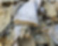 AdobeStock_343891355.jpeg