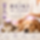 38027a32-6cac-47ff-9e11-14058c6dab44.png