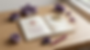 Gemini_Generated_Image_v80ah8v80ah8v80a.png