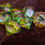 Thumbnail: Liquid Core Fae Dice