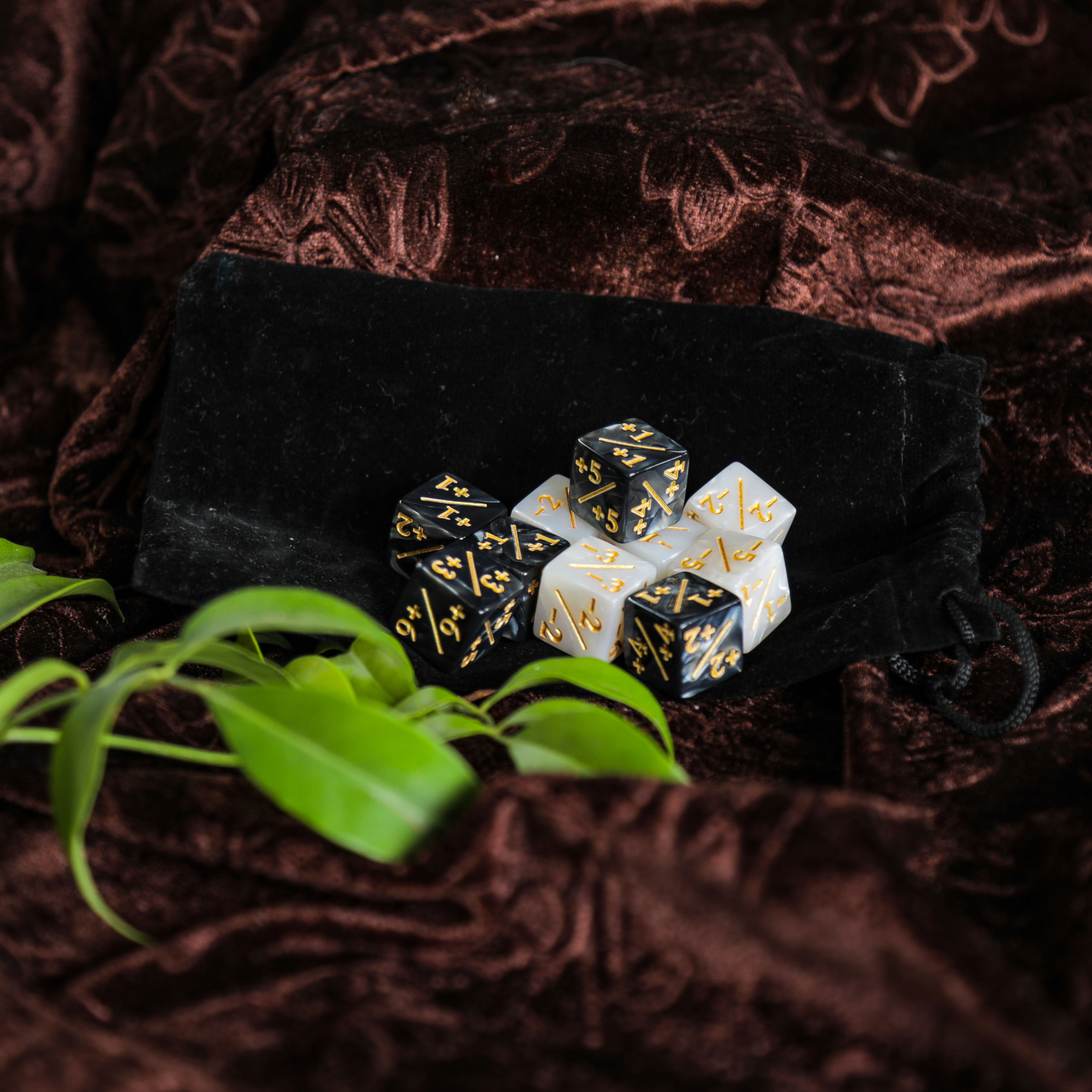 Counter Dice (10) with Black Pouch