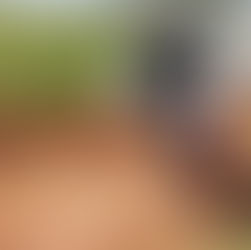 Segunda Etapa da Copa Paulista de Motocross 2026: confira os resultados e tudo o que aconteceu em São Luís do Guaricanga