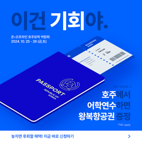 더보기 >