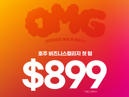 더보기 >