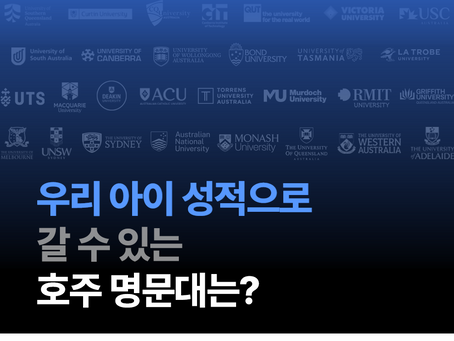 더보기 >