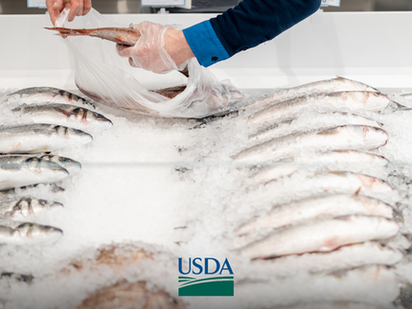 EUA criam novo Office of Seafood para fortalecer o setor pesqueiro