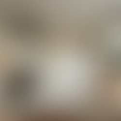 Betts Designs Renovations: Raleigh’s 4.6★ Remodeling “Gold Standard”