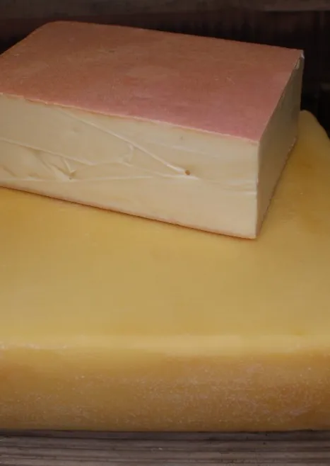 501-raclette-nature.webp