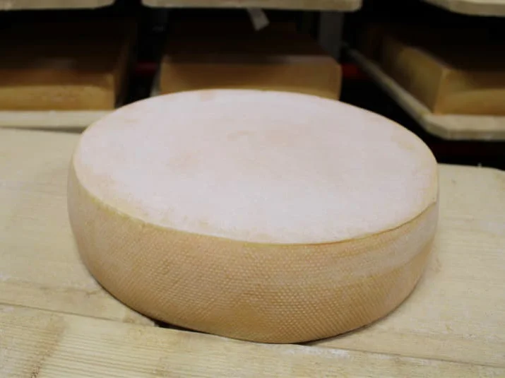 205-halbhartkaese-milchbubi.webp