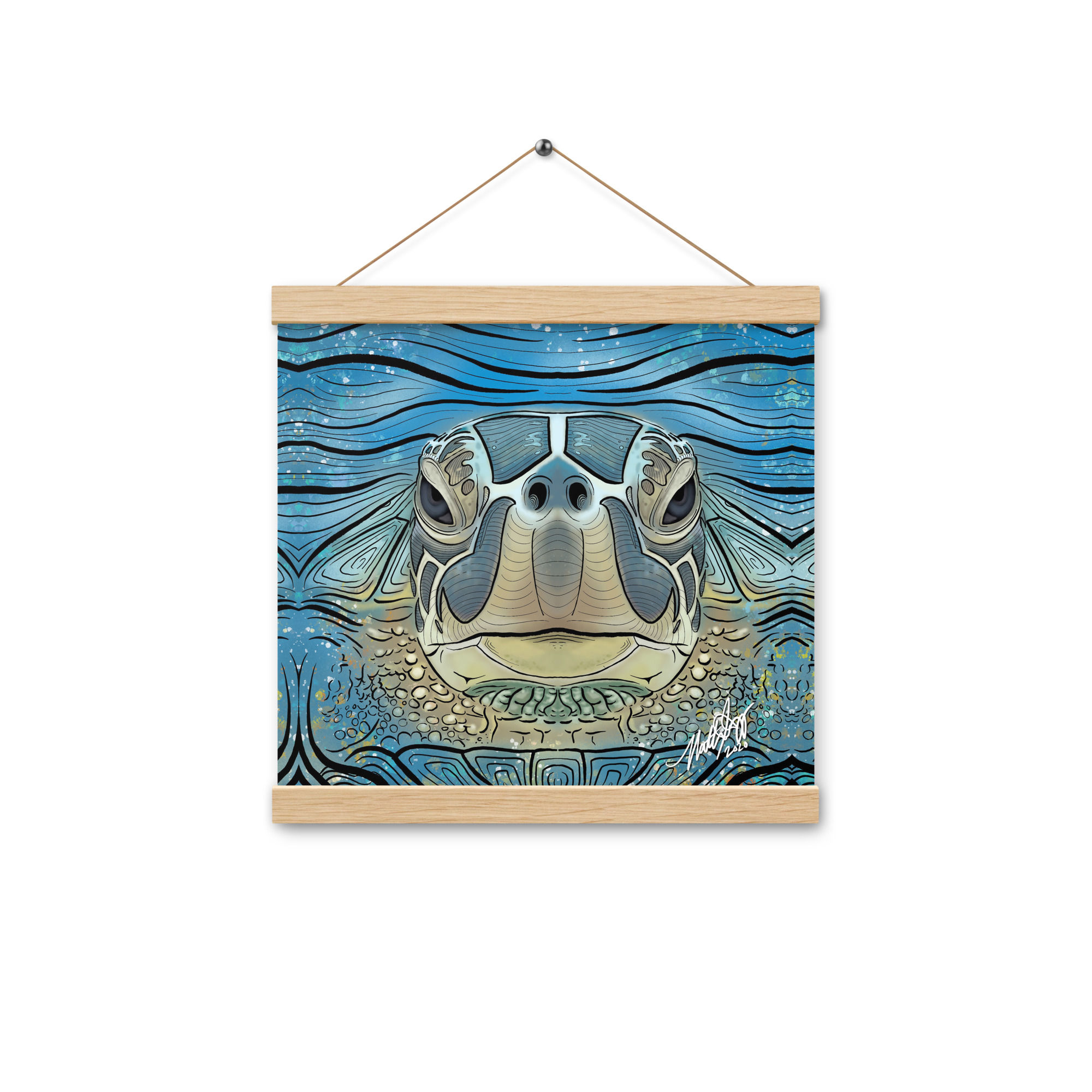 Sea Turtle Illustration