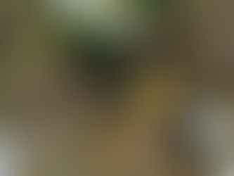 Mardi 31 mars 2026 - "Les limites du Puy de Dôme"