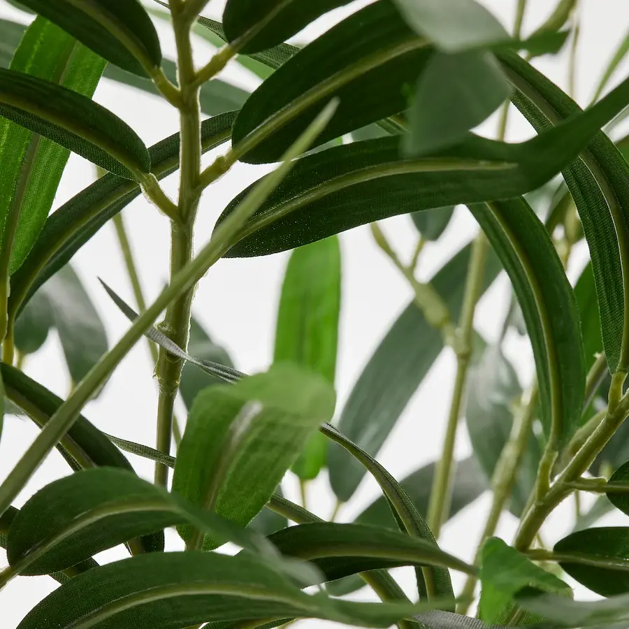 Thumbnail: Small Plant - 26”