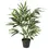 Thumbnail: Small Plant - 26”