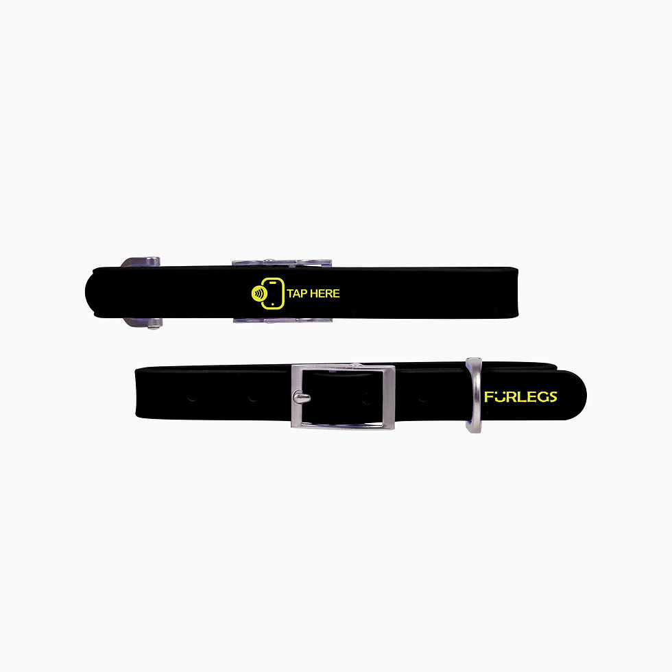 TapSafe Silicollar™