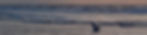 Meer2_www.jpg