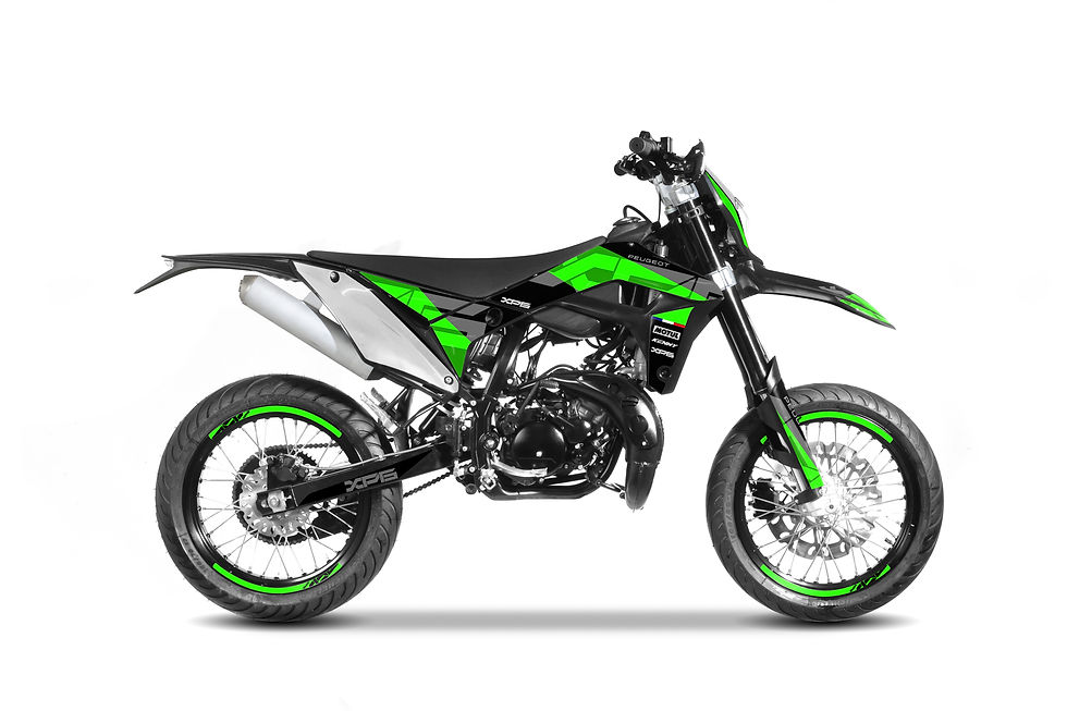 Miniatura: Peugeot Motocycles XP6 ENDURO R