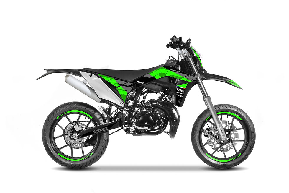 Miniatura: Peugeot Motocycles XP6 ENDURO R