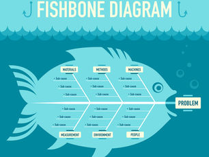 Fishbone Diagram