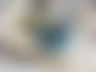 C-ONQS Practice Questions