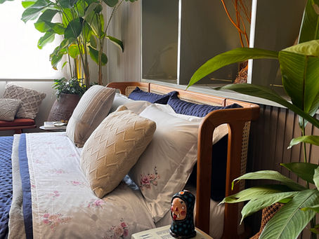 Como Escolher Plantas para Dentro de Casa: Dicas e Benefícios para a Saúde