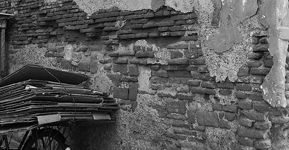 Conservation Site School: An Initiative by CHC
