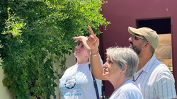 Cultural Guided Sessions